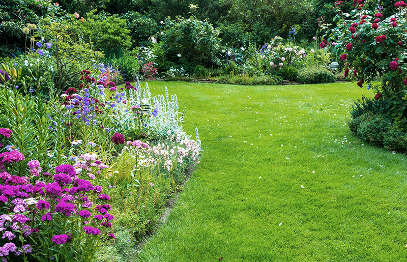 Lieferant für Kalkdünger für den Gartenbau | Vereinigte Kreidewerke Dammann